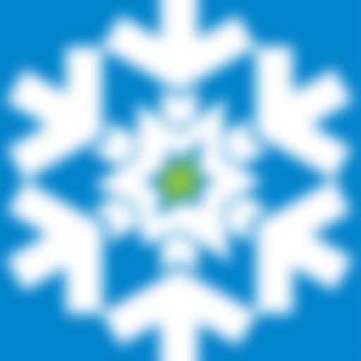 Daniel Wruck Geschäftsführer Icefield GmbH